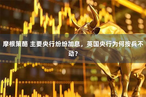 摩根策酪 主要央行纷纷加息，英国央行为何按兵不动？