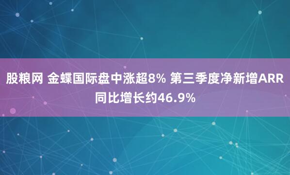 股粮网 金蝶国际盘中涨超8% 第三季度净新增ARR同比增长约46.9%