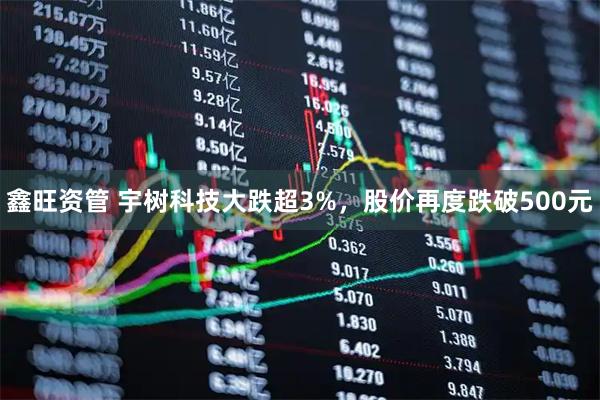 鑫旺资管 宇树科技大跌超3%，股价再度跌破500元